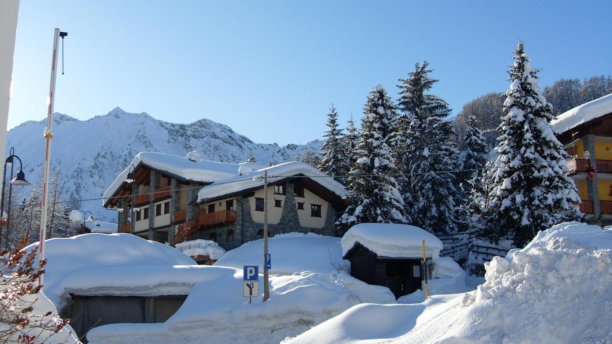 Residence Les Myosotis Champoluc Bagian luar foto