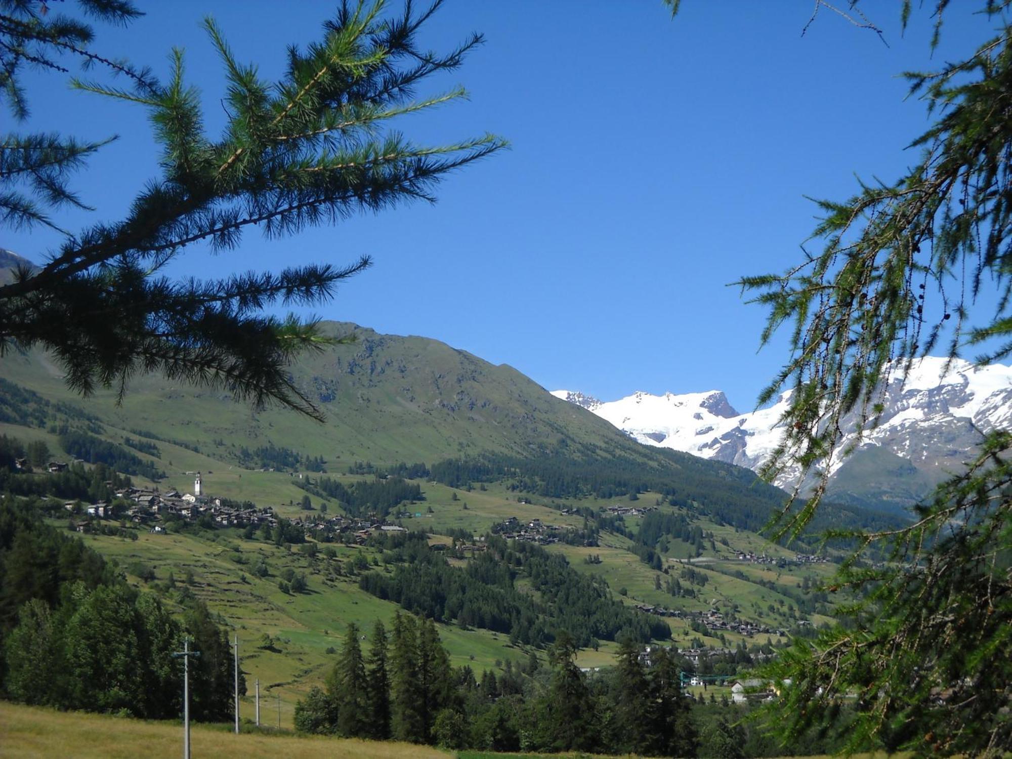 Residence Les Myosotis Champoluc Bagian luar foto