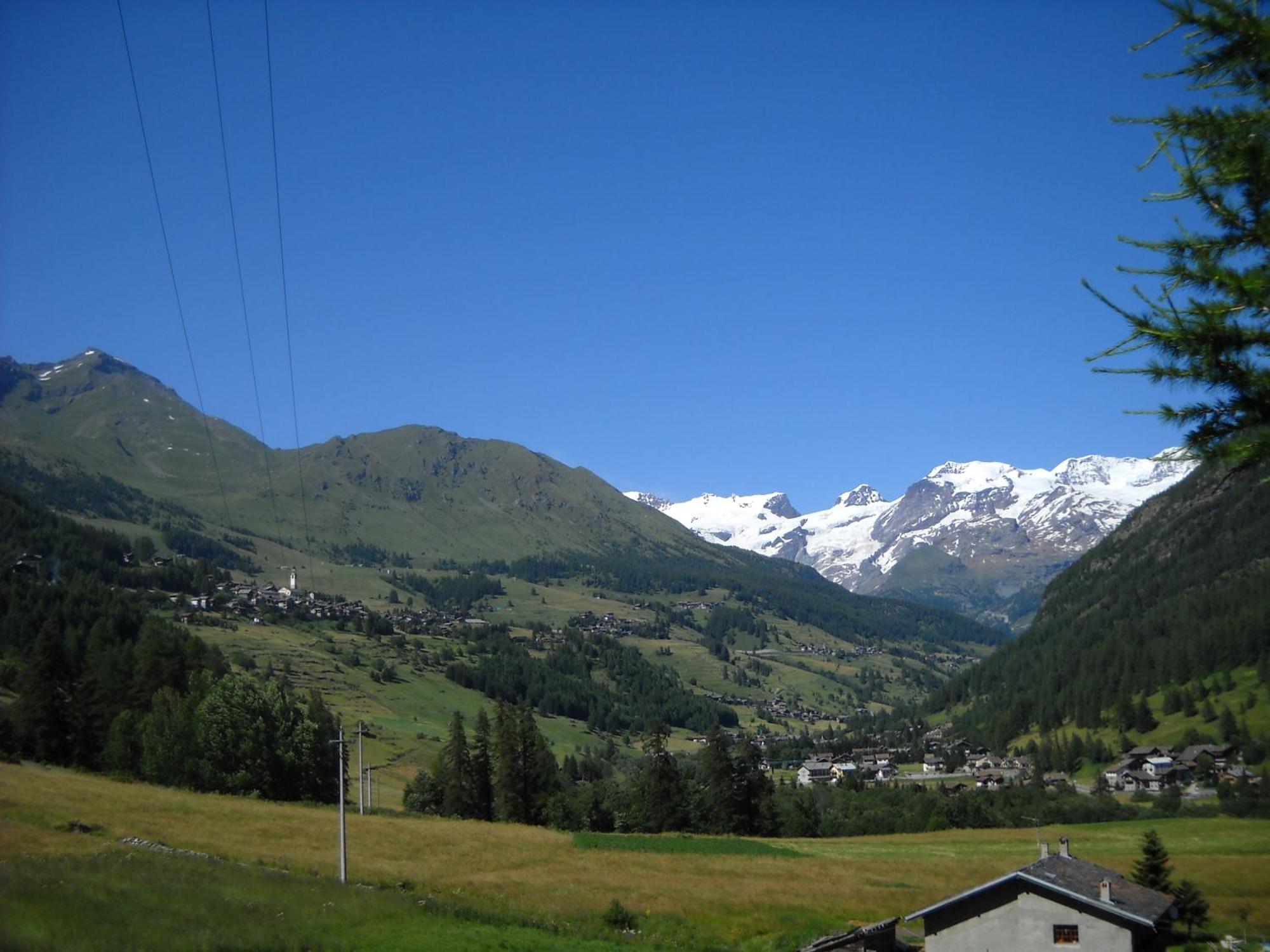 Residence Les Myosotis Champoluc Bagian luar foto